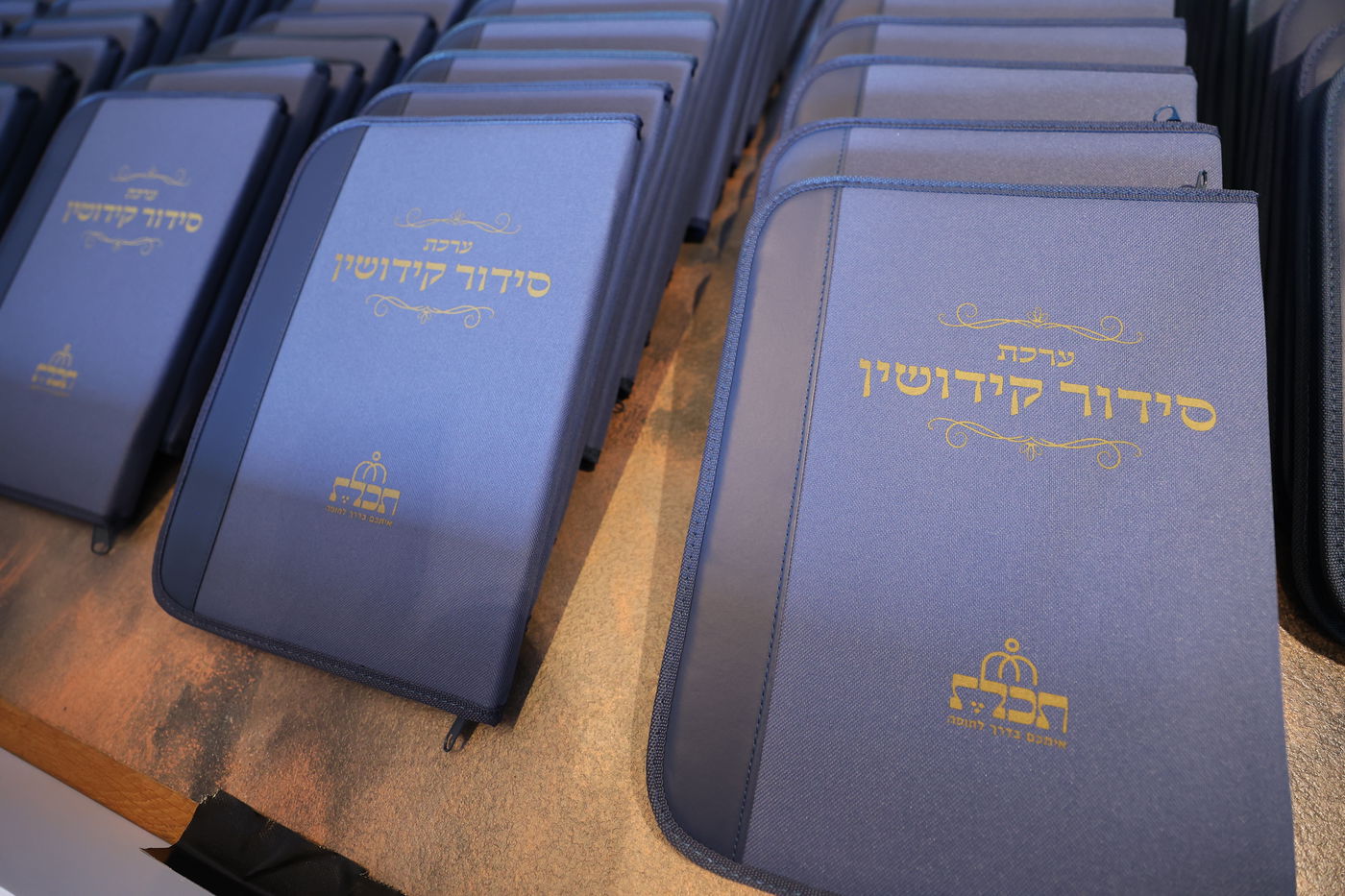 רבנים עורכי חופות בכנס מטעם ארגון 'תכלת' 