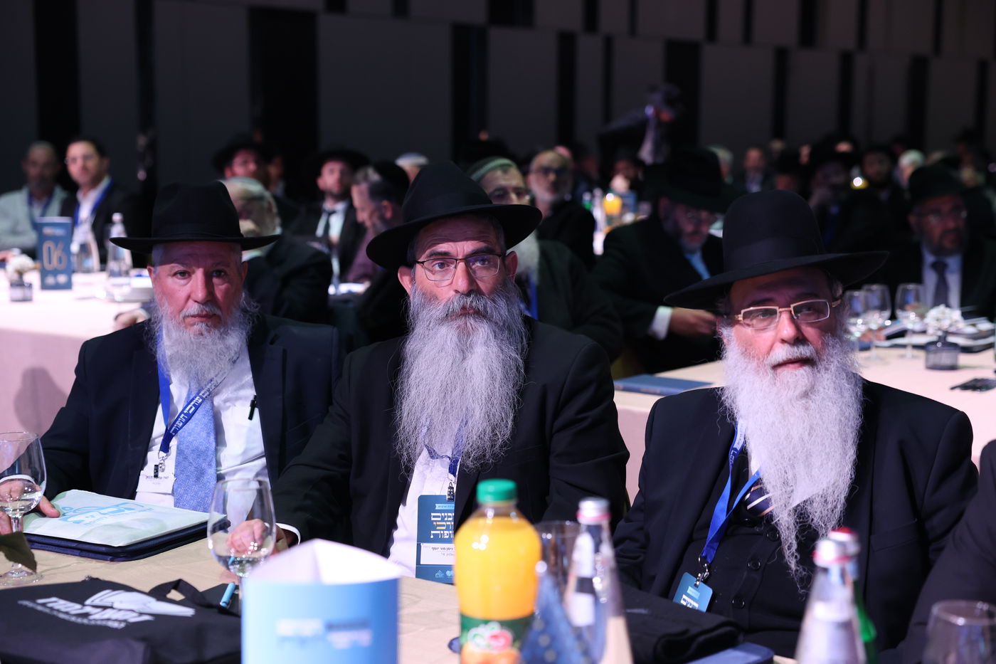 רבנים עורכי חופות בכנס מטעם ארגון 'תכלת' 