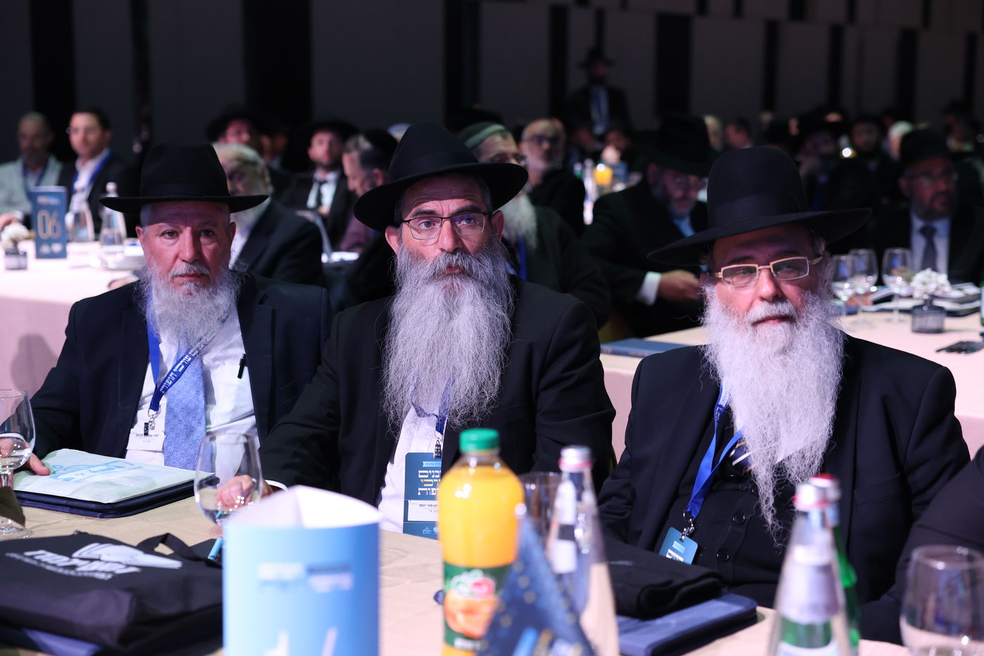 רבנים עורכי חופות בכנס מטעם ארגון 'תכלת' 