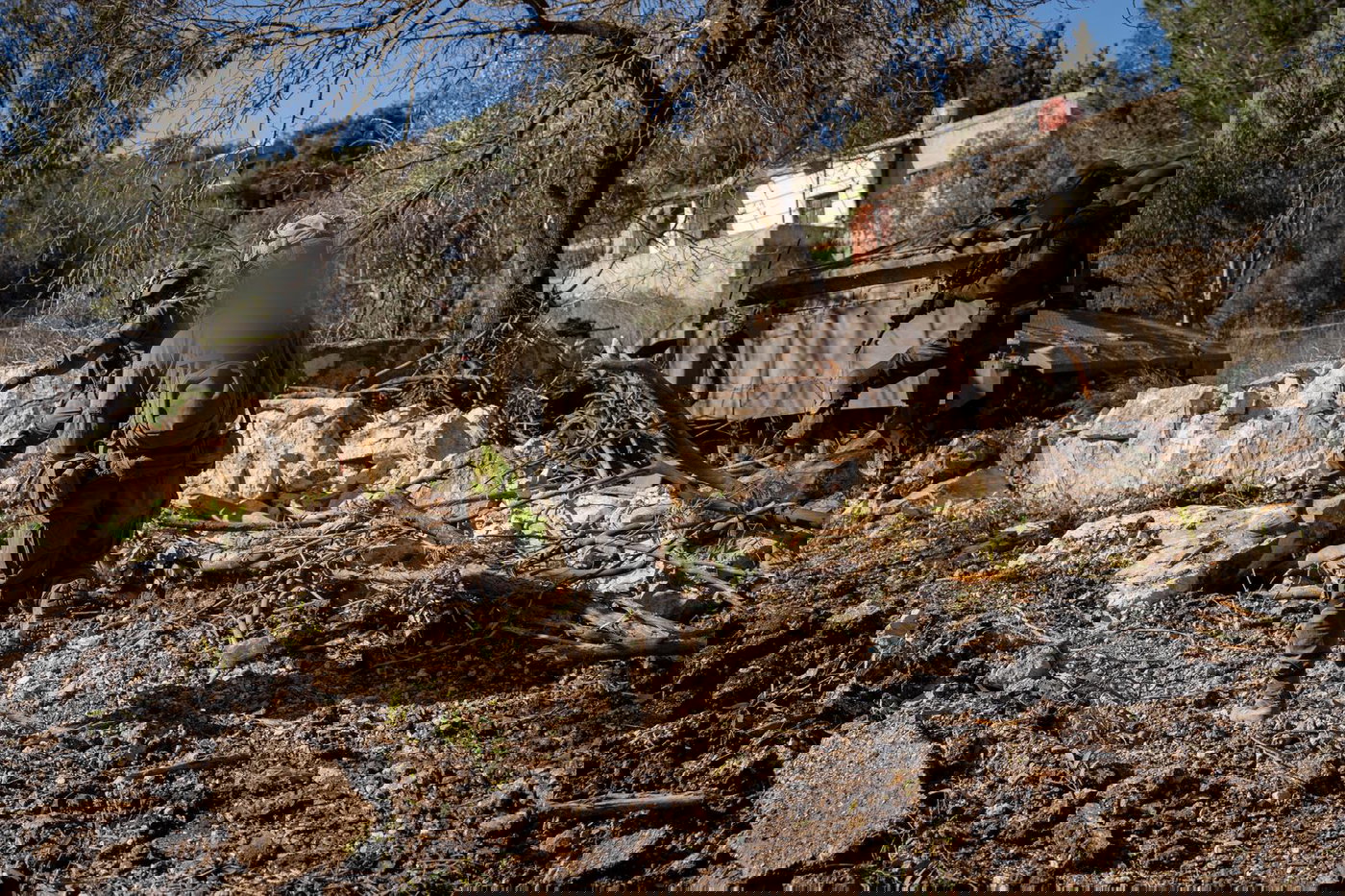 התיעודים מדרום לבנון