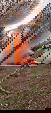 השריפה בגן סאקר, הבוקר