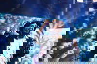 הזמר בניה ברבי