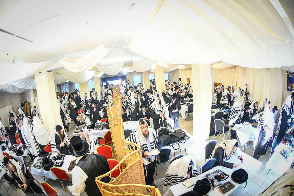 מראות ההילולא קדישא בליזענסק - אדר תשפ"ו