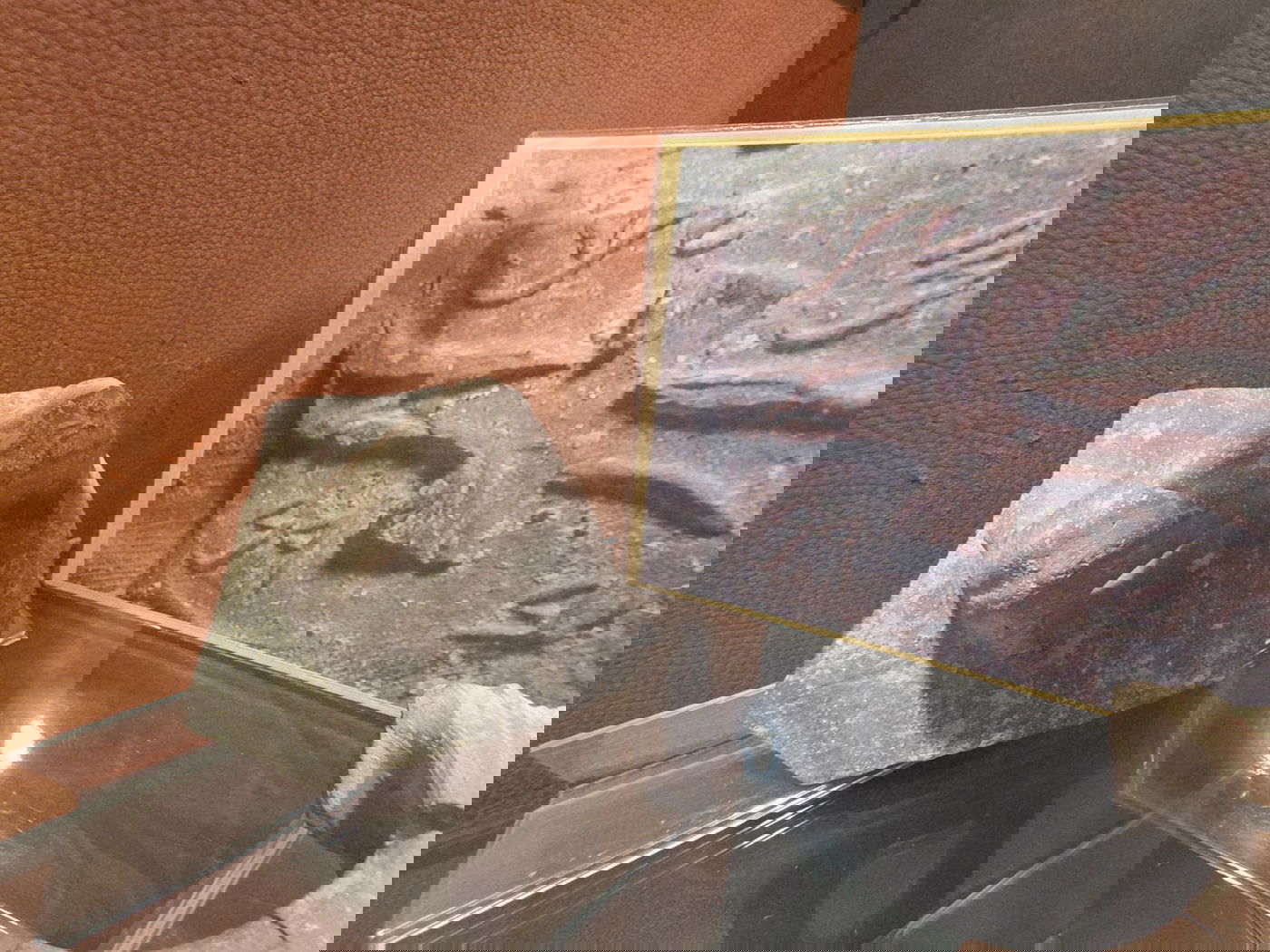 חותמת מלך חברון במוזאון ארץ יהודה