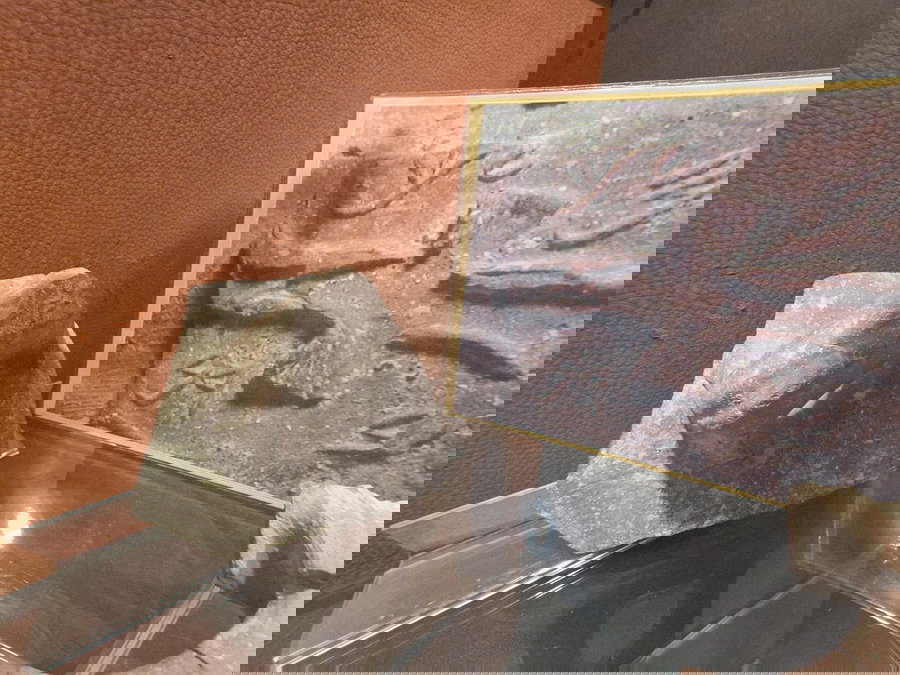 חותמת מלך חברון במוזאון ארץ יהודה