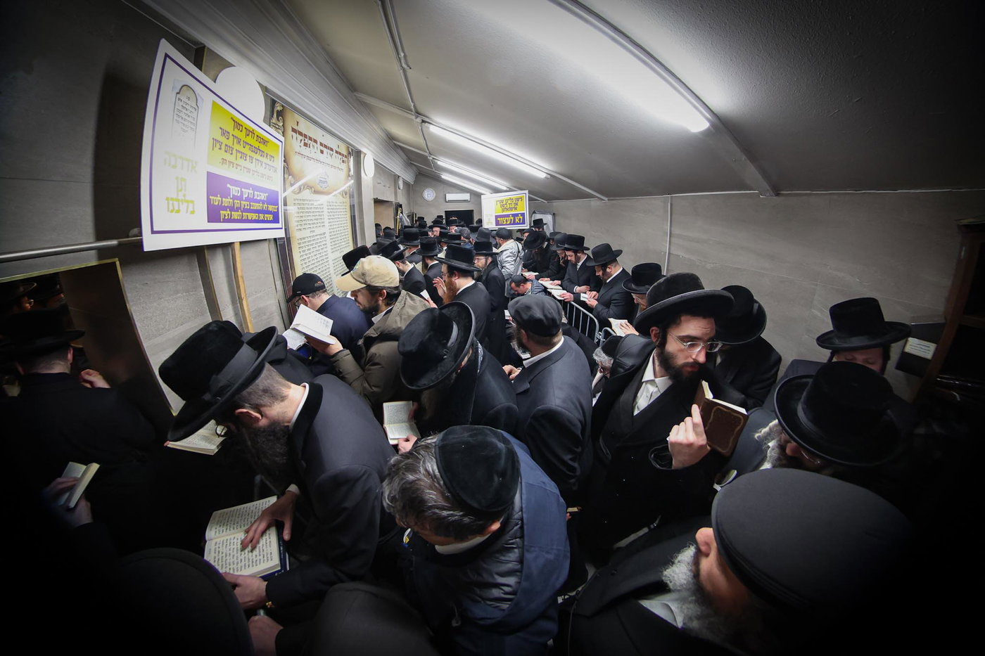 מראות ליז'ענסק תשפ"ו