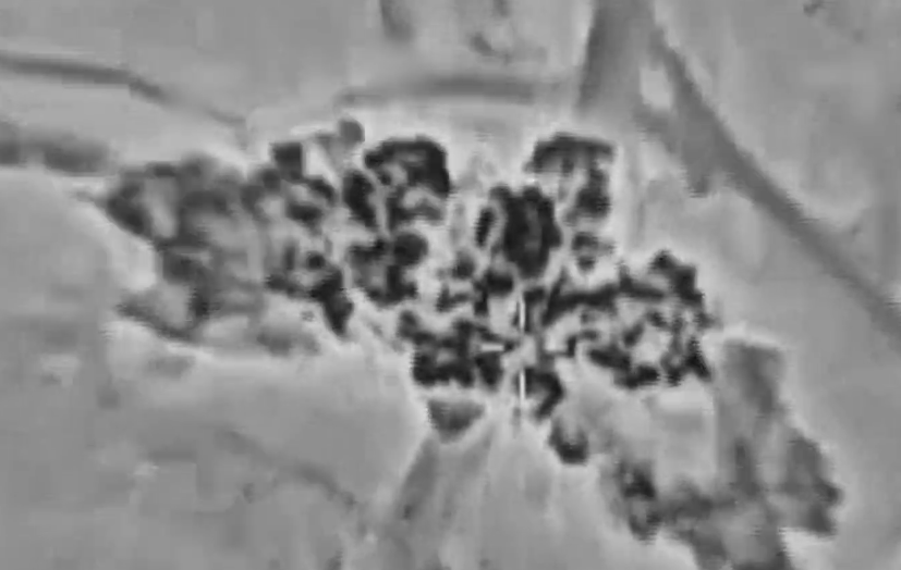 על נהר הליטאני: צה"ל תקף לראשונה תשתית אזרחית; "שימש למעמד מחבלים"