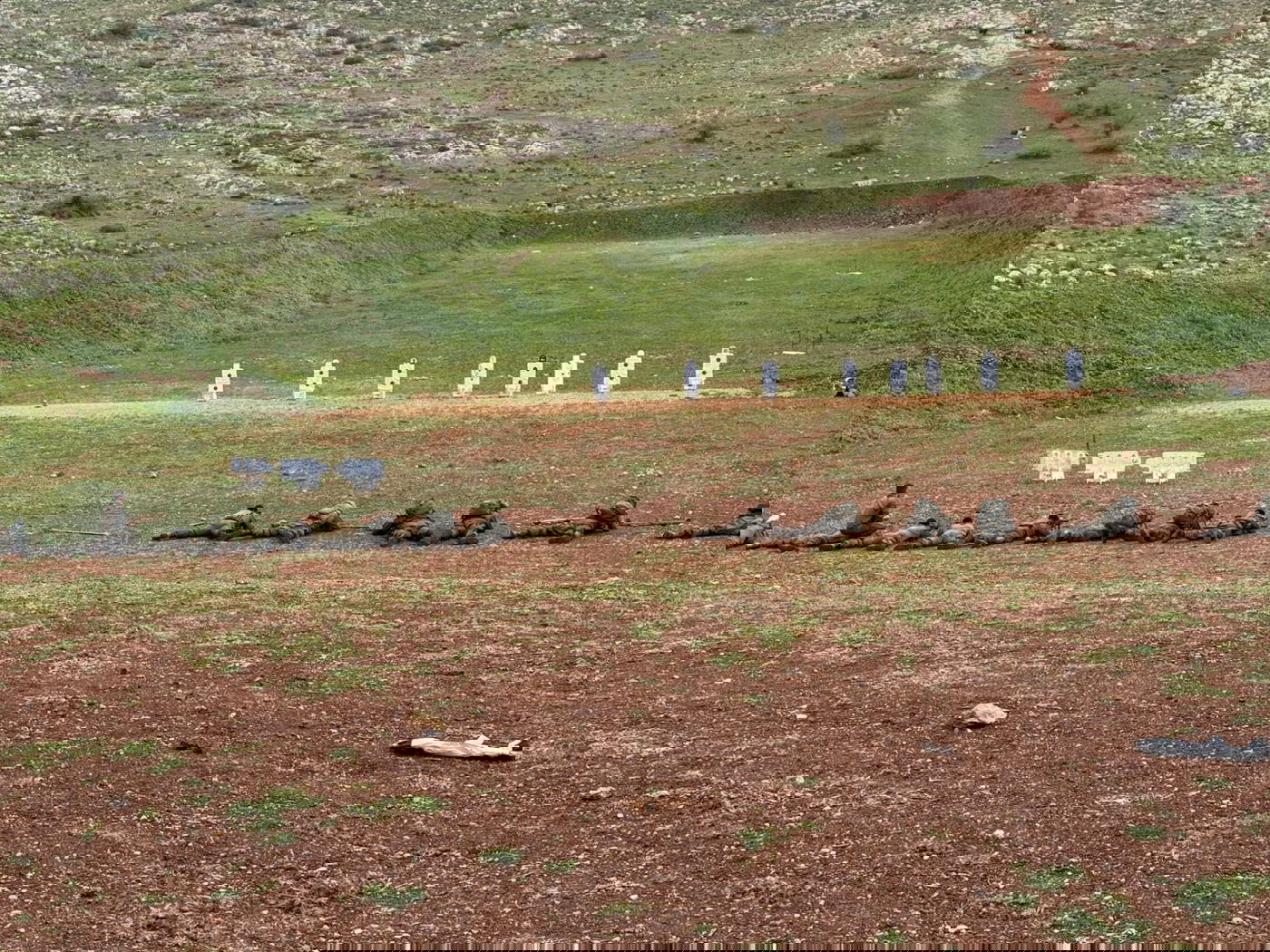 גולני בצפון