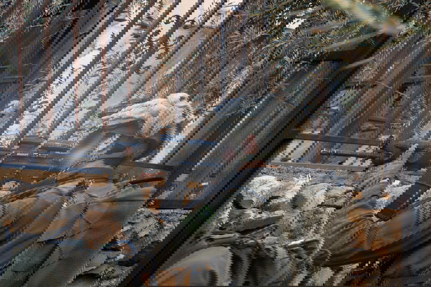 פעילות כוחות צוות הקרב החטיבתי 7 בלבנון