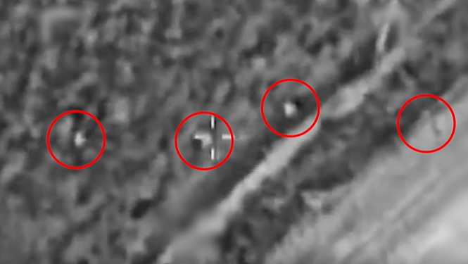 חיסול מחבלים באיראן