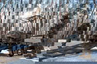 מערכות רובוטיות כבר פועלות בשדה הקרב