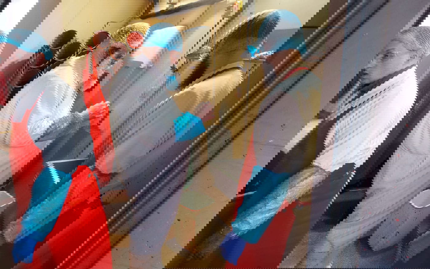 הגה"צ גאב"ד אנטווערפן בביקור בבית השחיטה