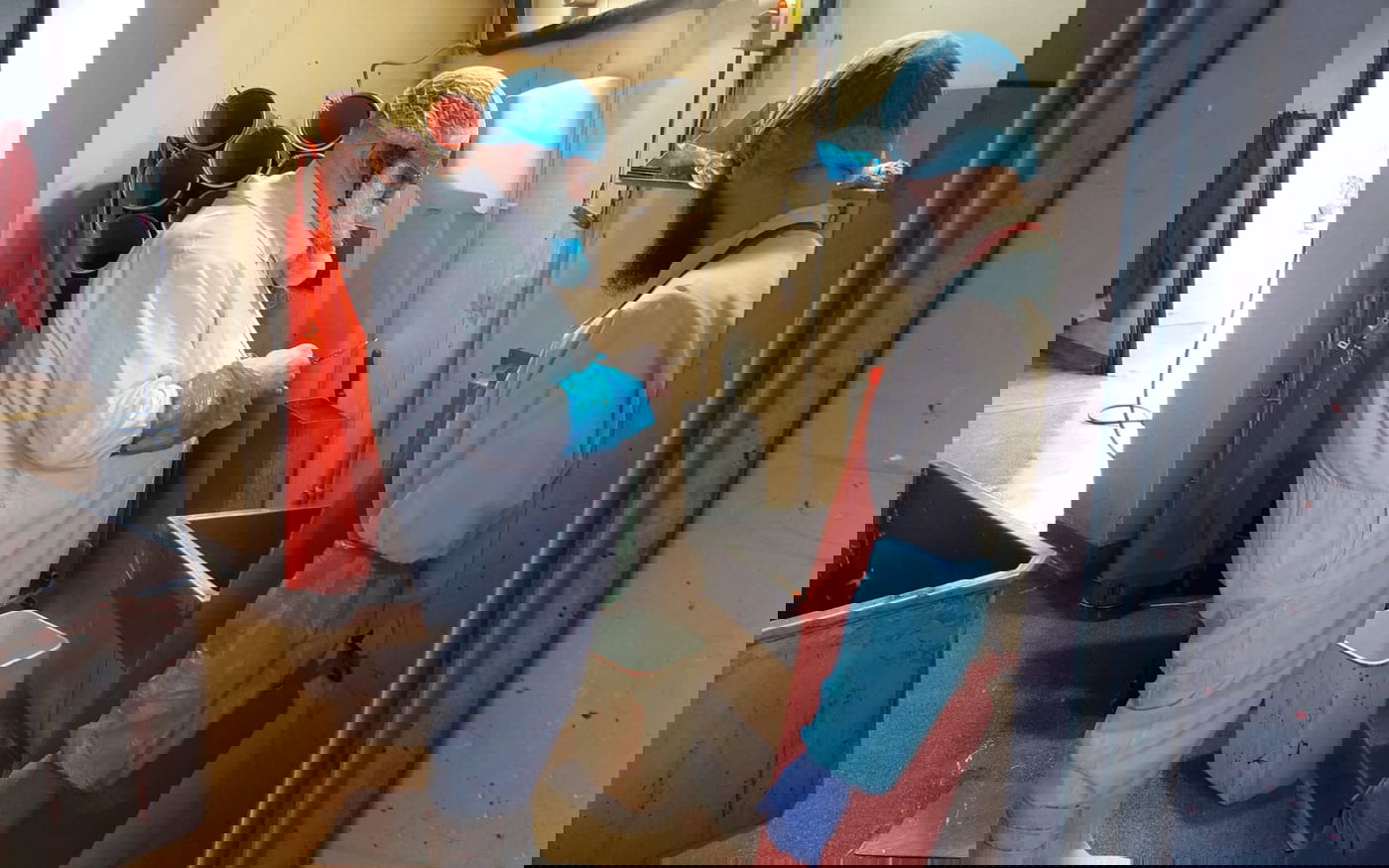 הגה"צ גאב"ד אנטווערפן בביקור בבית השחיטה