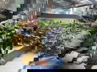 פול קונינגהאם חצד כלבתו רוז אותה הצליח לרפא מהמחלה