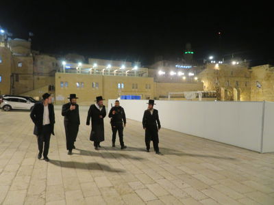 האדמו"ר מביאלה בית שמש בתפילה בכותל המערבי