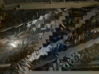 פגיעה ישירה בבית בכרמיאל: תיעודים מהזירה | "אין להתקרב לאזור"