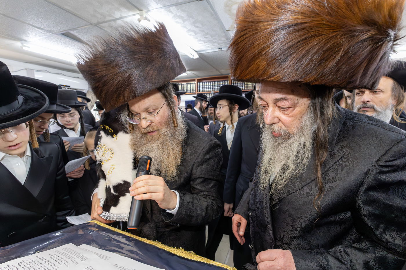 הכנסת ס"ת ושבע ברכות בחצה"ק זוועהיל