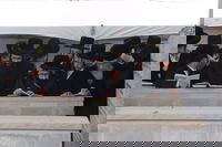 הילולא קדישא בסקולען