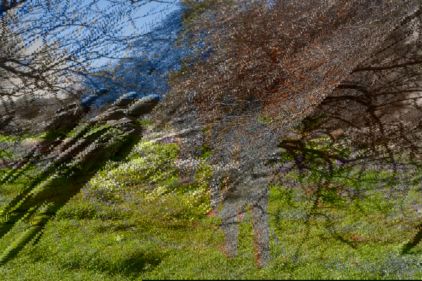 פעילות כוחות חטיבה 300 במרחב דרום לבנון