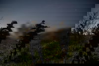 פעילות כוחות חטיבה 300 במרחב דרום לבנון