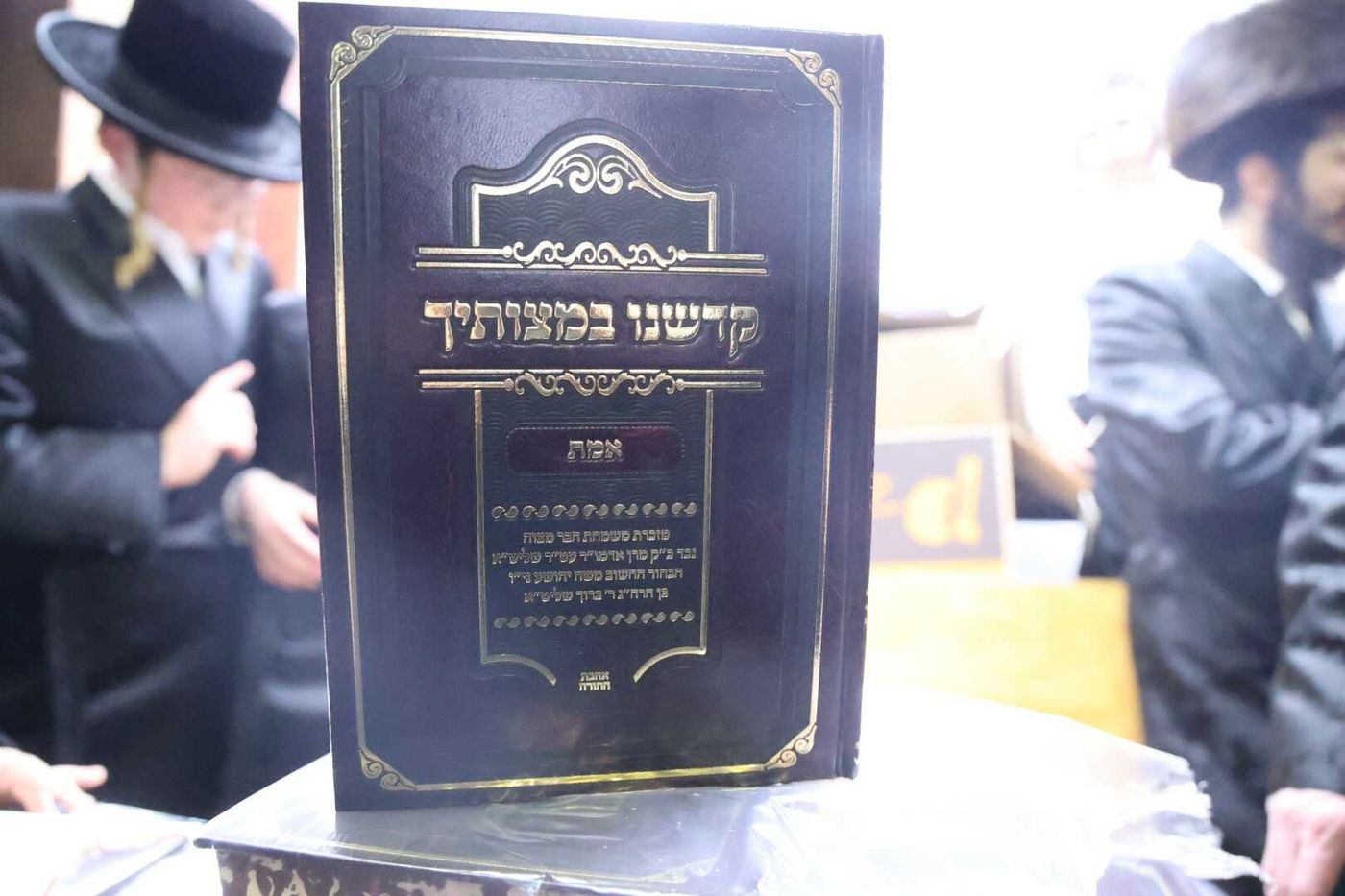שמחת בר המצווה בסערט ויז'ניץ