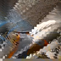 המטוס שנשרף