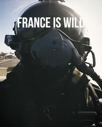 "צרפת פראית": סרטון הפגנת הכח שפרסם הבוקר עמנואל מקרון 