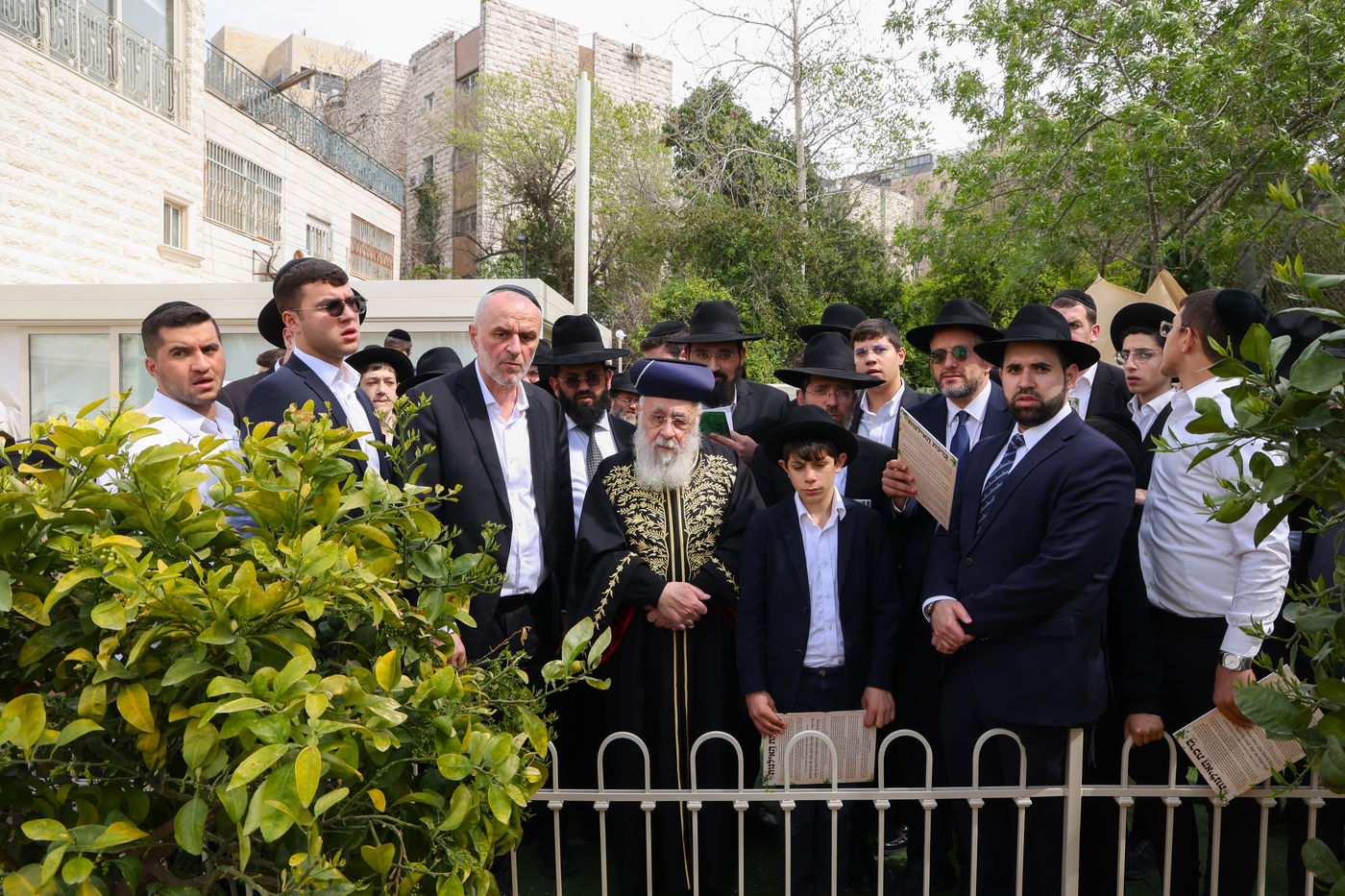 הראשל"צ הגר"י יוסף בברכת האילנות