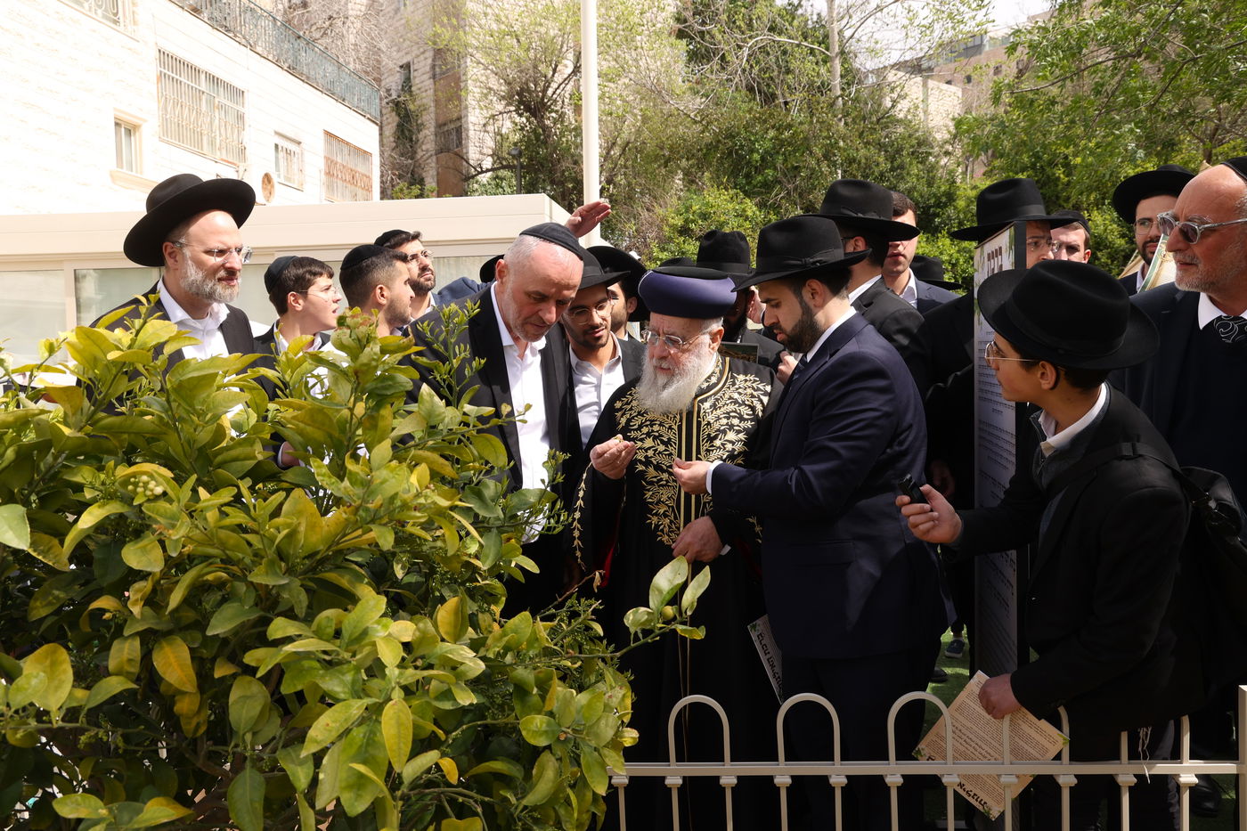 הראשל"צ הגר"י יוסף בברכת האילנות
