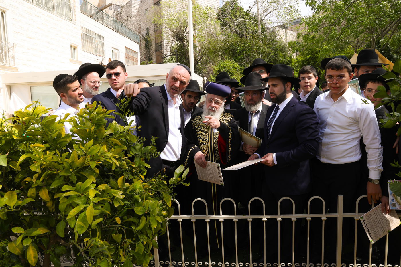 הראשל"צ הגר"י יוסף בברכת האילנות