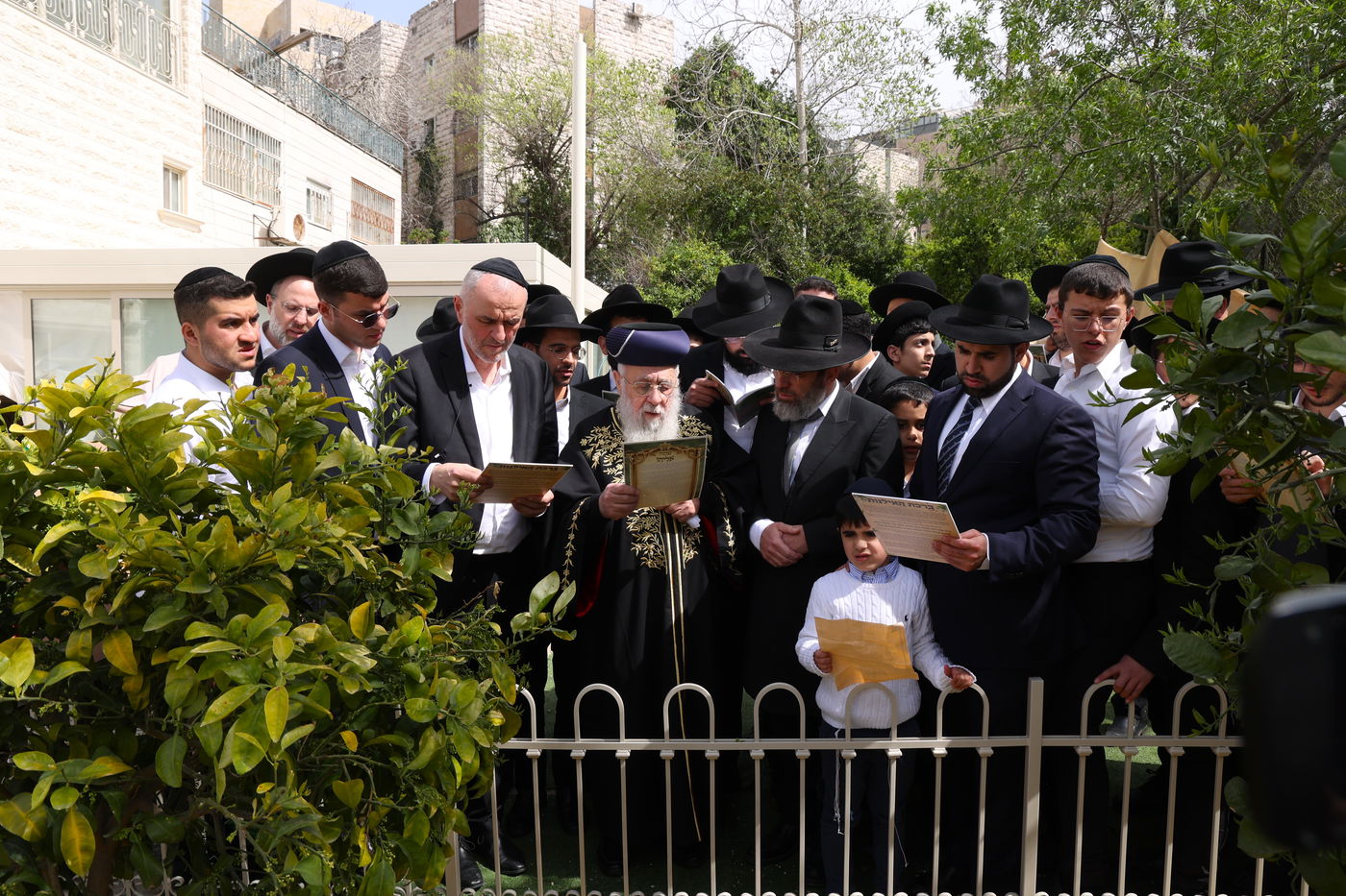 הראשל"צ הגר"י יוסף בברכת האילנות