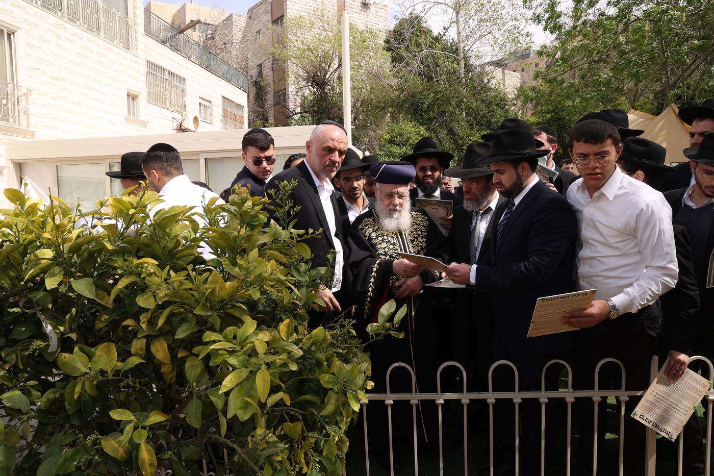 הראשל"צ הגר"י יוסף בברכת האילנות