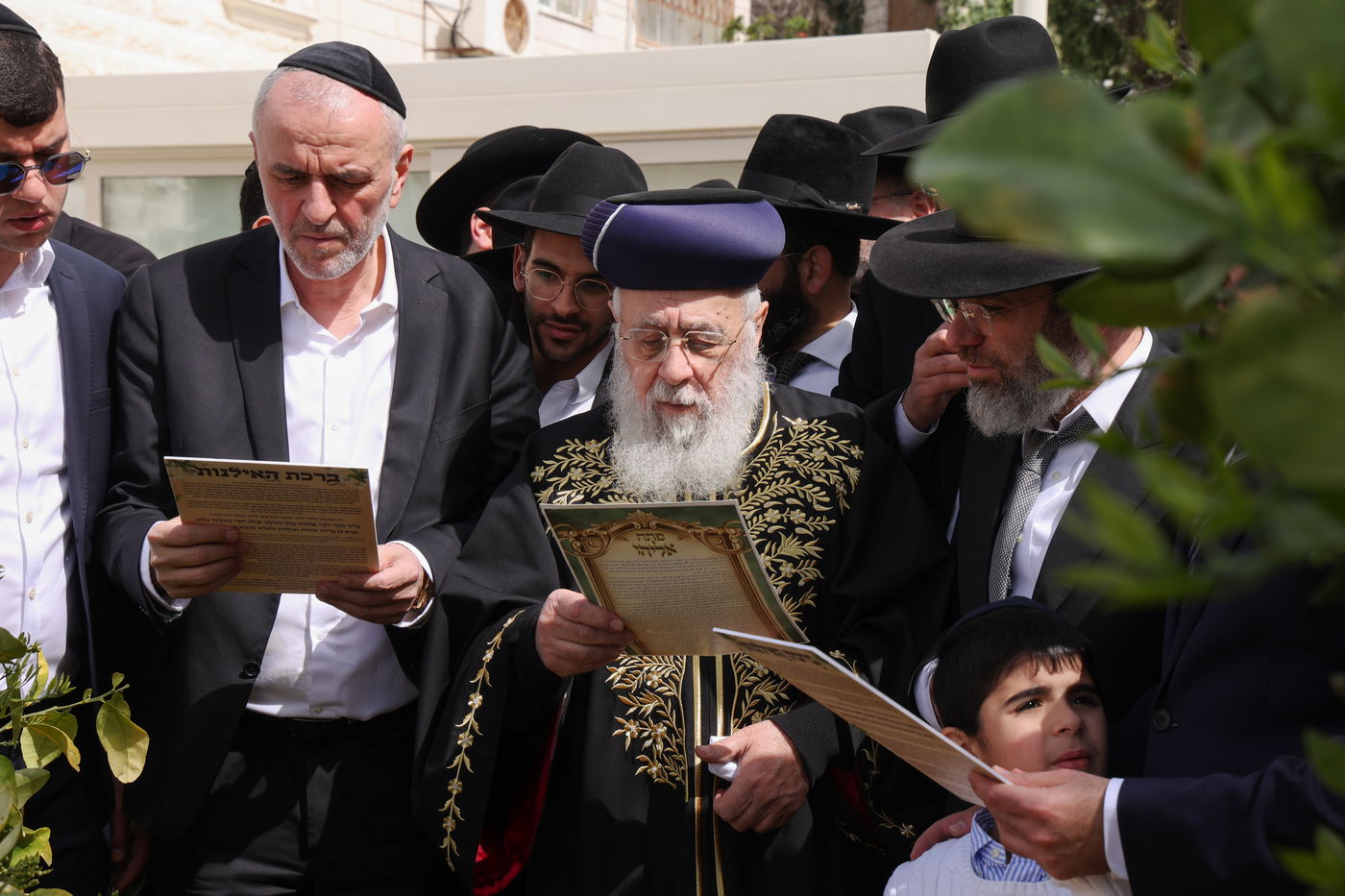 הראשל"צ הגר"י יוסף בברכת האילנות