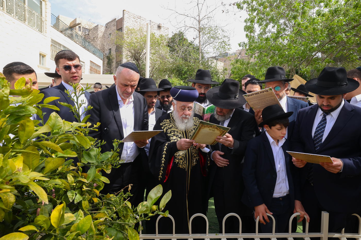הראשל"צ הגר"י יוסף בברכת האילנות