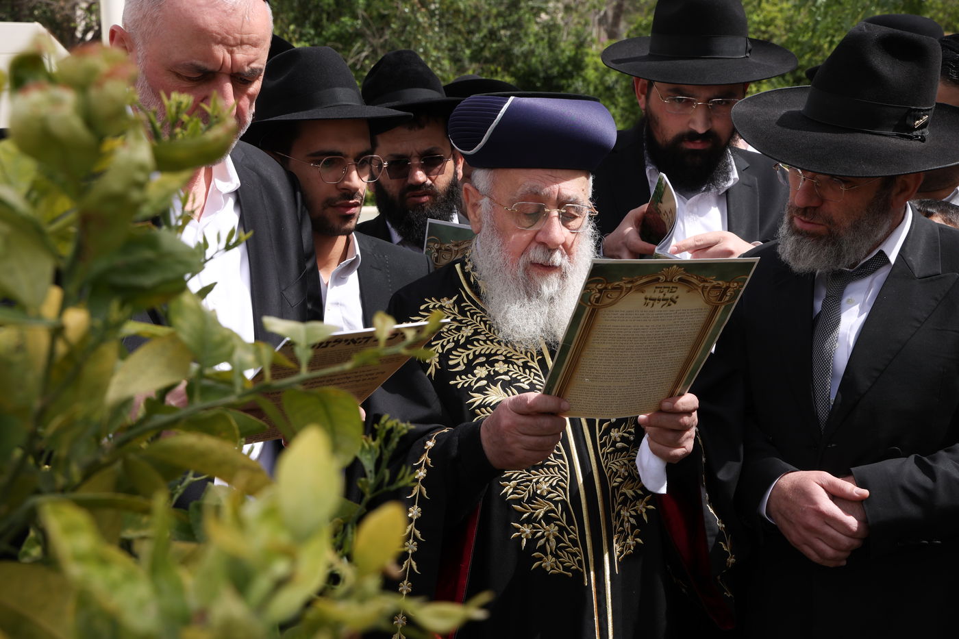 הראשל"צ הגר"י יוסף בברכת האילנות