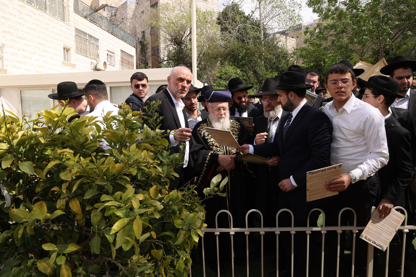 הראשל"צ הגר"י יוסף בברכת האילנות