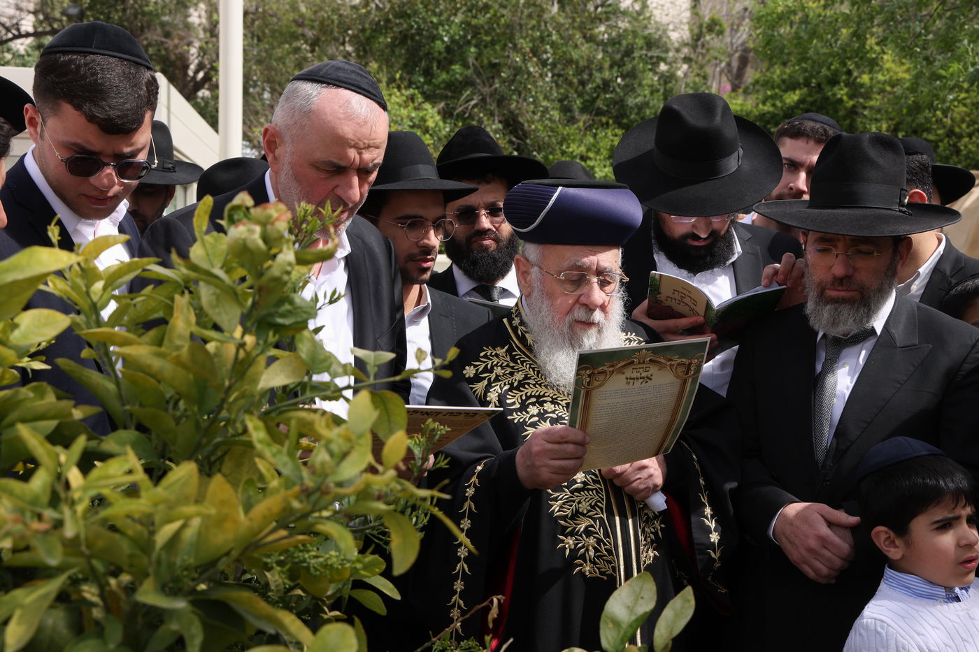הראשל"צ הגר"י יוסף בברכת האילנות