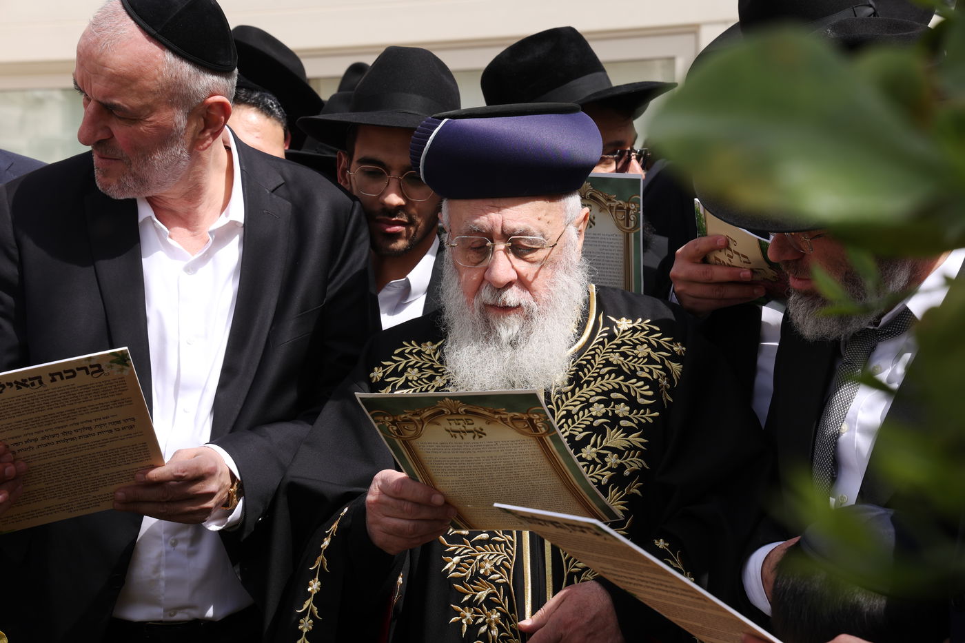 הראשל"צ הגר"י יוסף בברכת האילנות