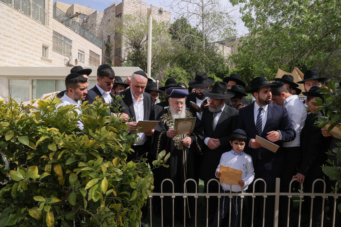 הראשל"צ הגר"י יוסף בברכת האילנות