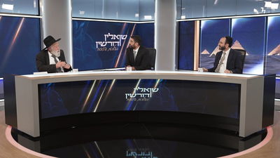 הגז, הטוסטר, המנגל, המדיח - מה מכשירים, מה קונים חדש ומה אסור להשאיר? • צפו ב'שואלין ודורשין'