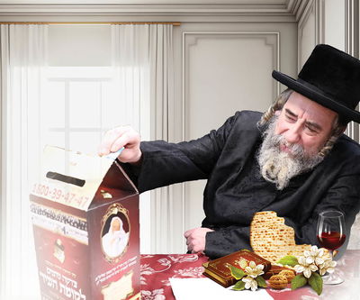 האדמו"ר מראחמיסטריווקא בהבטחה מורשת ומטלטלת