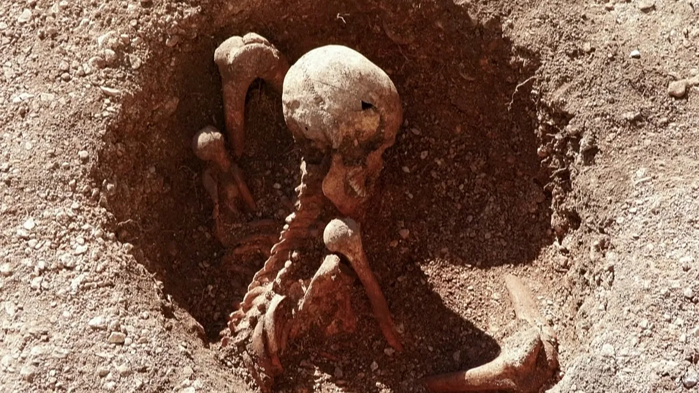 אחד מהשלדים שנמצאו