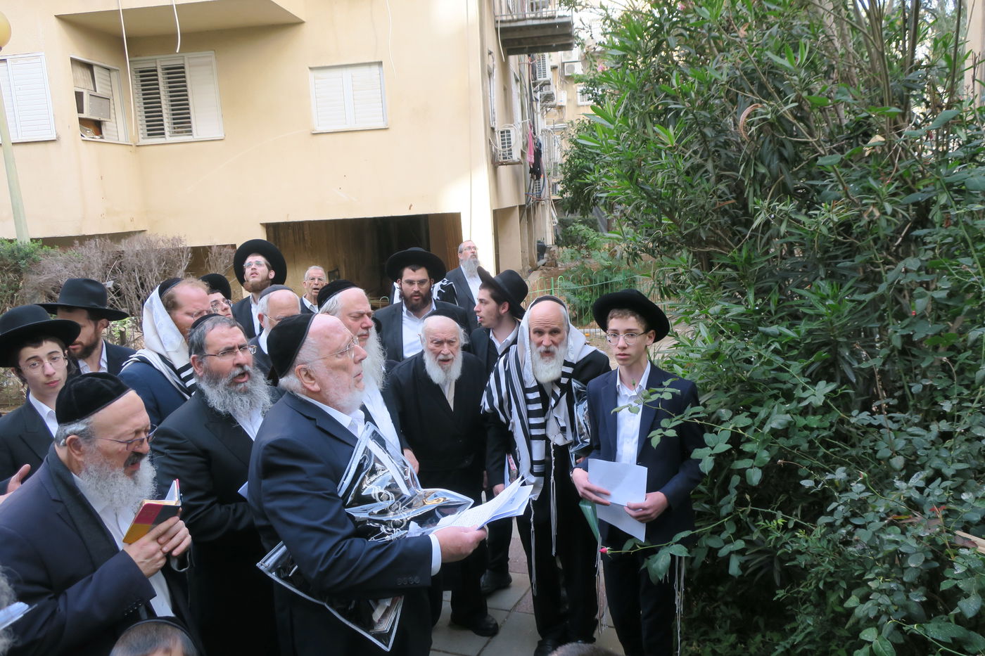 הגר"י זילברשטיין בברכת האילנות