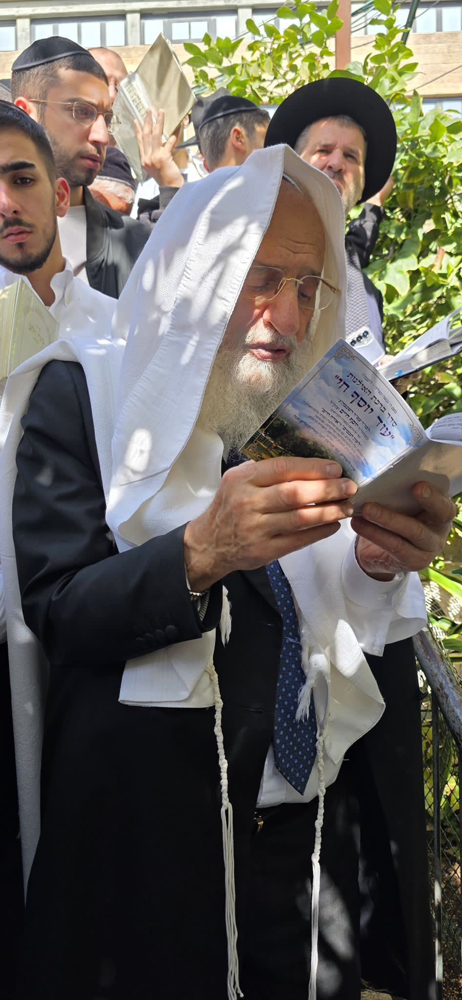 הגר"ר אלבז בברכת האילנות