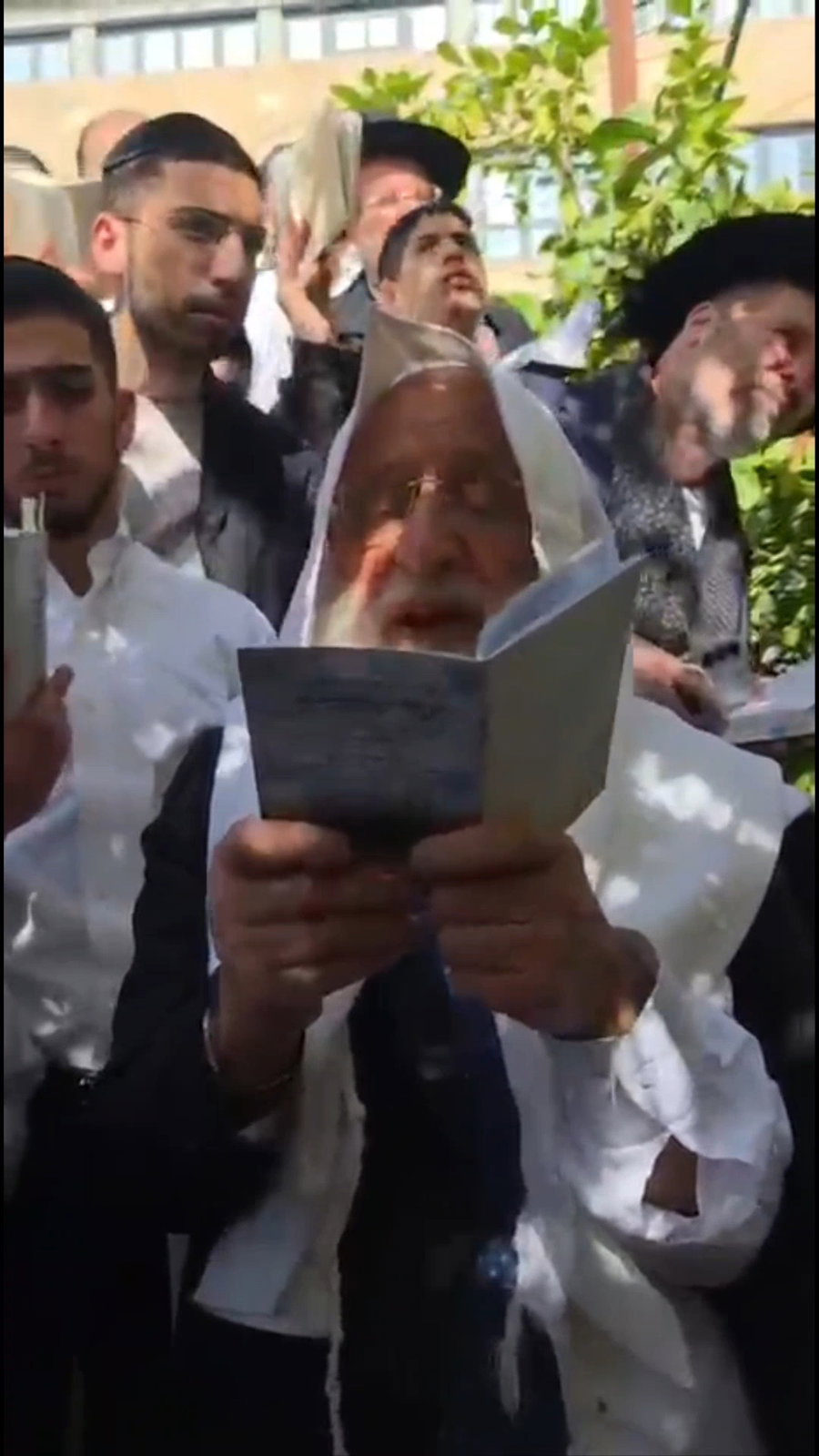 הגר"ר אלבז בברכת האילנות