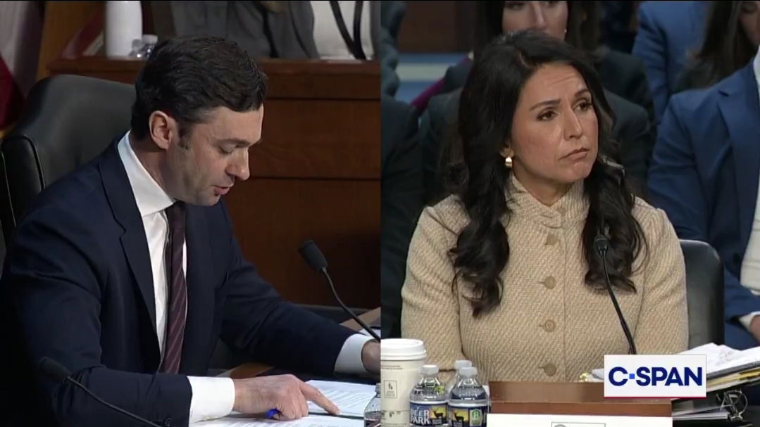 טולסי גבארד בשימוע, אמש