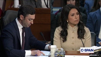 טולסי גבארד בשימוע, אמש