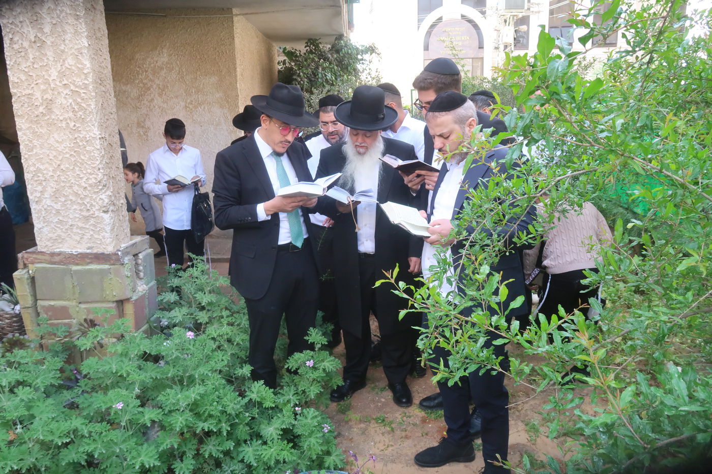 הרב יגאל כהן בברכת האילנות