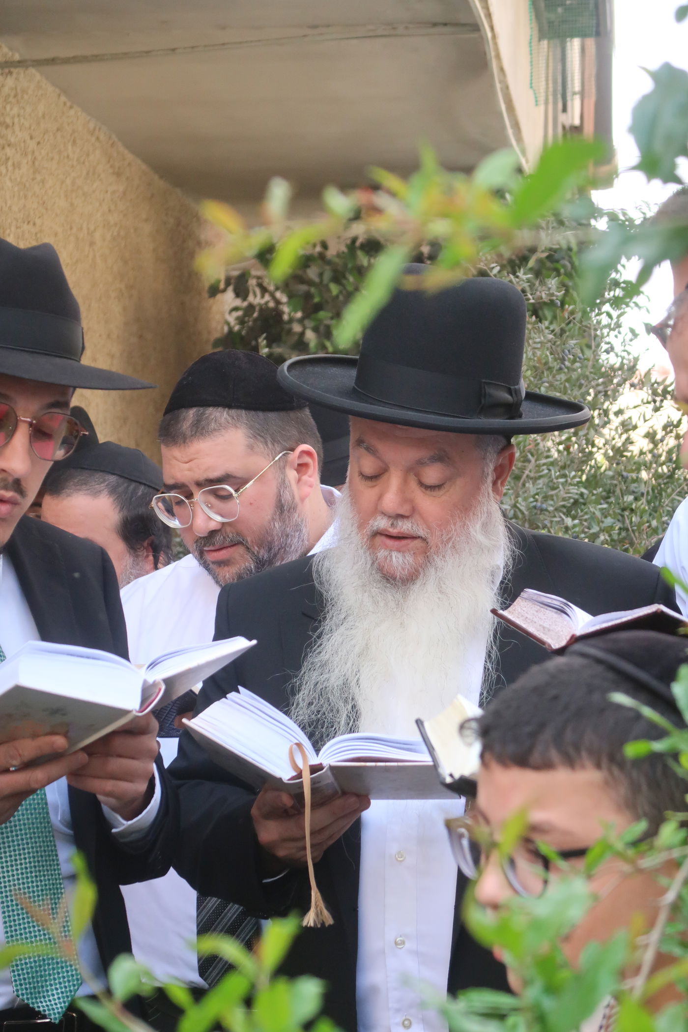 הרב יגאל כהן בברכת האילנות