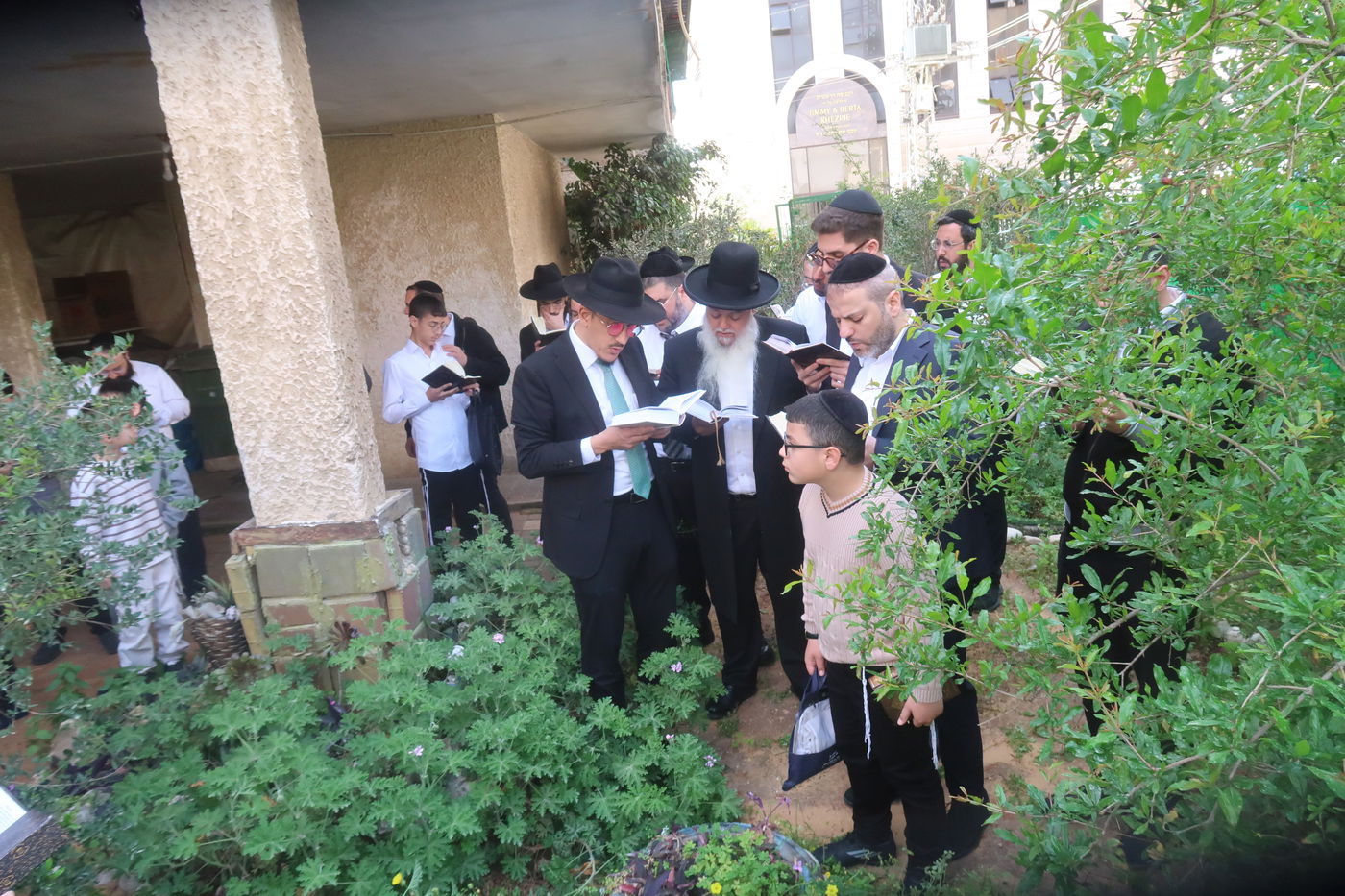 הרב יגאל כהן בברכת האילנות